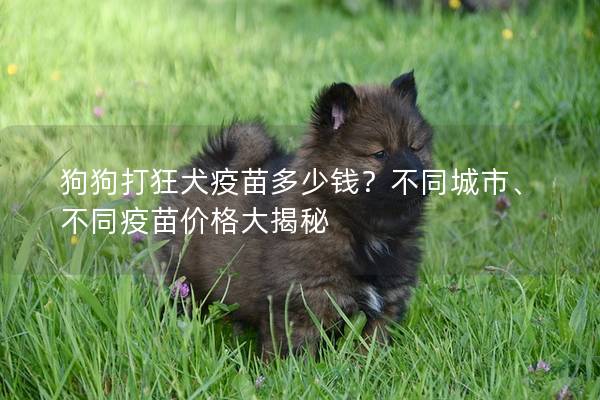 狗狗打狂犬疫苗多少钱？不同城市、不同疫苗价格大揭秘