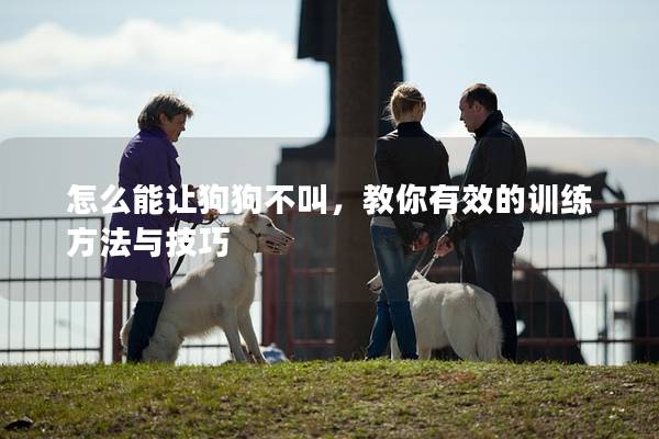 怎么能让狗狗不叫，教你有效的训练方法与技巧