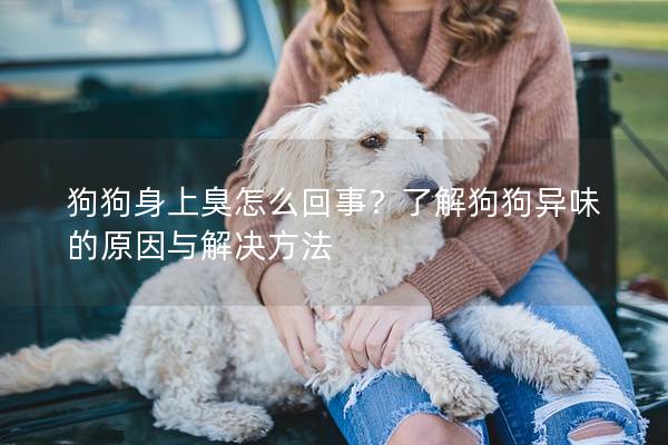 狗狗身上臭怎么回事？了解狗狗异味的原因与解决方法