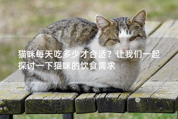 猫咪每天吃多少才合适？让我们一起探讨一下猫咪的饮食需求