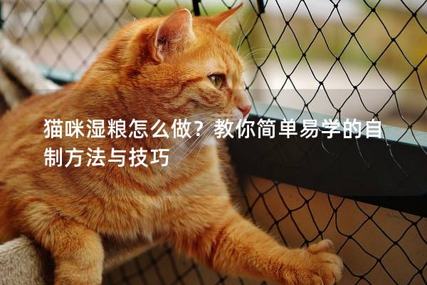 猫咪湿粮怎么做？教你简单易学的自制方法与技巧