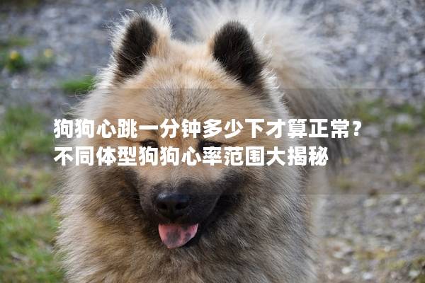 狗狗心跳一分钟多少下才算正常？ 不同体型狗狗心率范围大揭秘