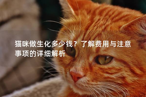 猫咪做生化多少钱？了解费用与注意事项的详细解析