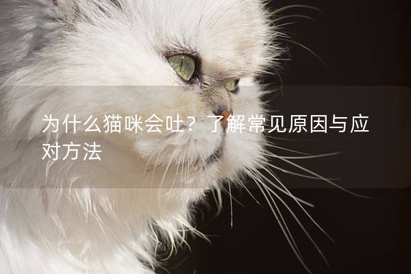 为什么猫咪会吐？了解常见原因与应对方法