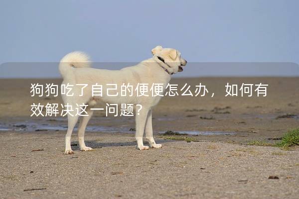 狗狗吃了自己的便便怎么办，如何有效解决这一问题？
