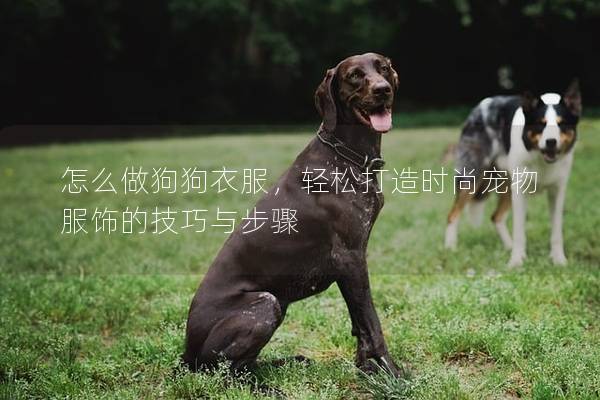怎么做狗狗衣服，轻松打造时尚宠物服饰的技巧与步骤