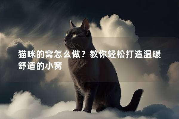猫咪的窝怎么做？教你轻松打造温暖舒适的小窝