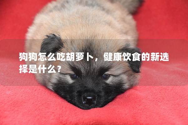 狗狗怎么吃胡萝卜，健康饮食的新选择是什么？