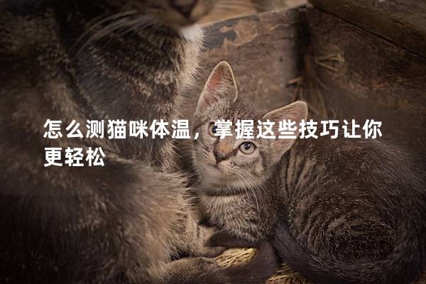 怎么测猫咪体温，掌握这些技巧让你更轻松
