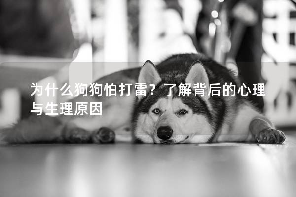 为什么狗狗怕打雷？了解背后的心理与生理原因