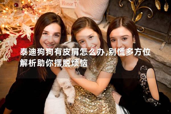 泰迪狗狗有皮屑怎么办,别慌多方位解析助你摆脱烦恼