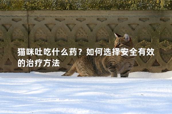 猫咪吐吃什么药？如何选择安全有效的治疗方法
