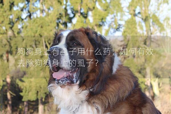 狗狗身上有虱子用什么药，如何有效去除狗狗身上的虱子？