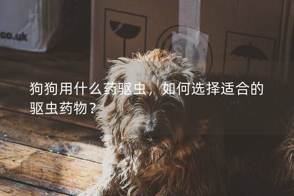 狗狗用什么药驱虫，如何选择适合的驱虫药物？