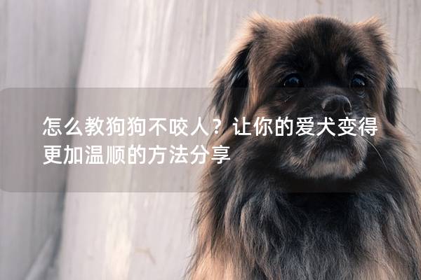 怎么教狗狗不咬人？让你的爱犬变得更加温顺的方法分享