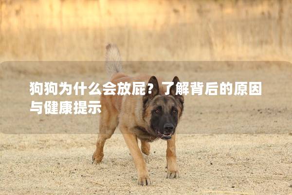 狗狗为什么会放屁？了解背后的原因与健康提示