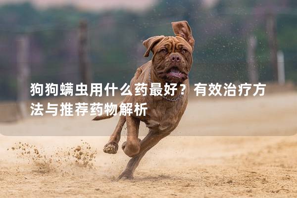狗狗螨虫用什么药最好？有效治疗方法与推荐药物解析