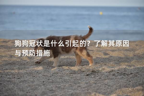 狗狗冠状是什么引起的？了解其原因与预防措施