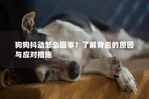 狗狗抖动怎么回事？了解背后的原因与应对措施