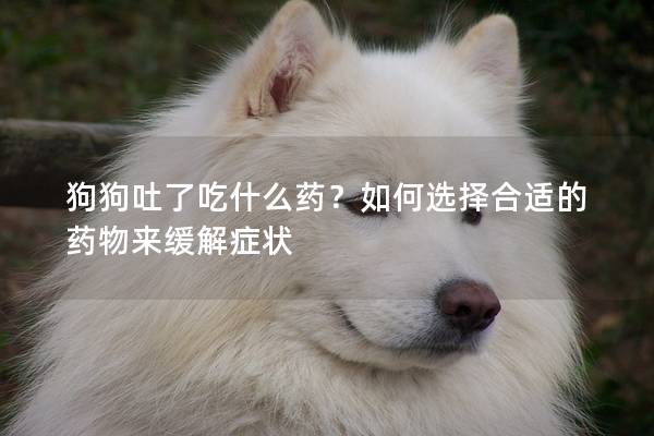 狗狗吐了吃什么药？如何选择合适的药物来缓解症状