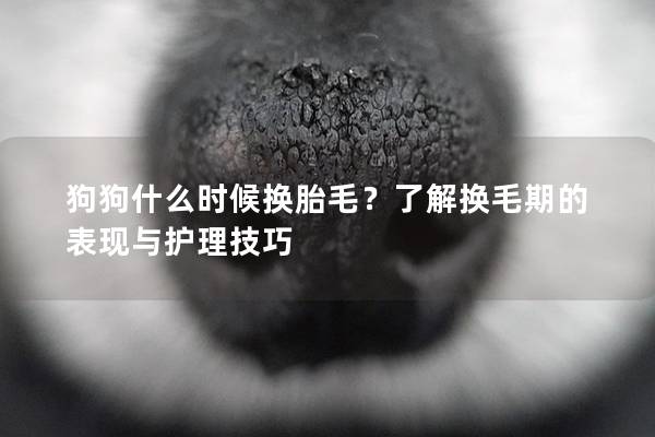 狗狗什么时候换胎毛？了解换毛期的表现与护理技巧