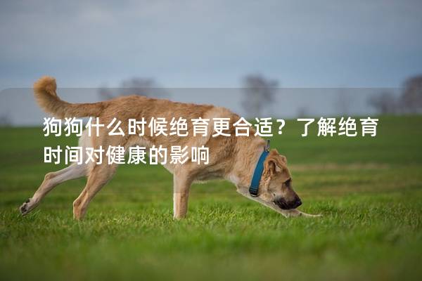 狗狗什么时候绝育更合适？了解绝育时间对健康的影响