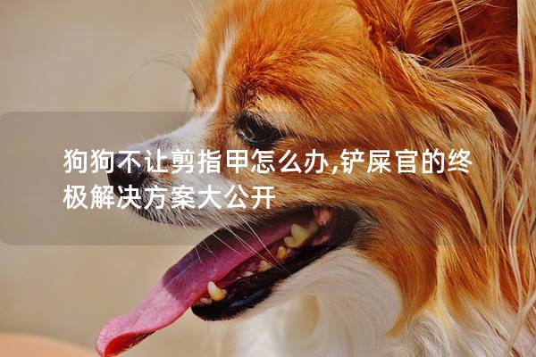狗狗不让剪指甲怎么办,铲屎官的终极解决方案大公开
