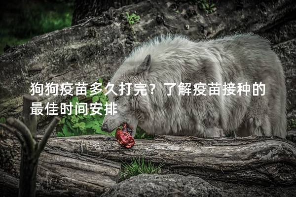 狗狗疫苗多久打完？了解疫苗接种的最佳时间安排