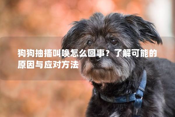 狗狗抽搐叫唤怎么回事？了解可能的原因与应对方法