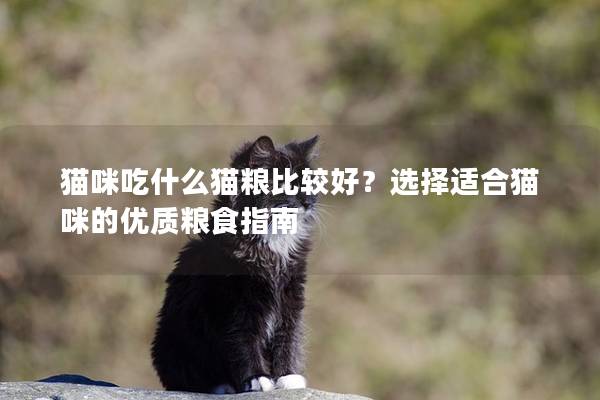 猫咪吃什么猫粮比较好？选择适合猫咪的优质粮食指南