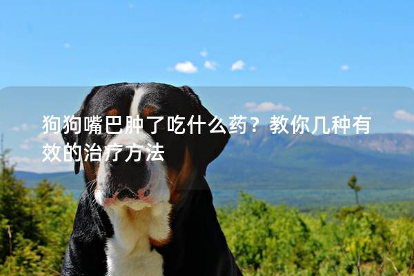 狗狗嘴巴肿了吃什么药？教你几种有效的治疗方法