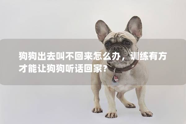 狗狗出去叫不回来怎么办，训练有方才能让狗狗听话回家？