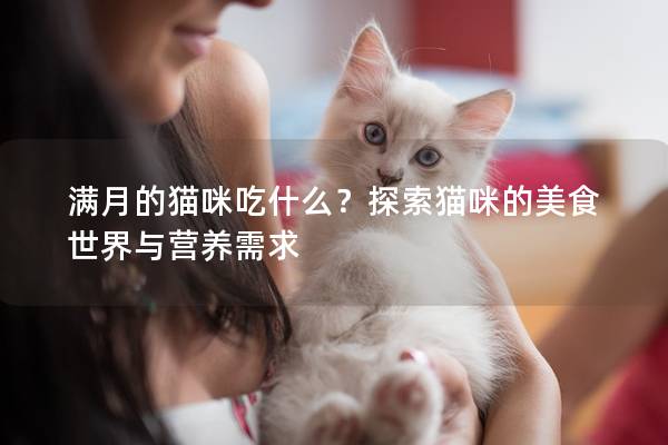 满月的猫咪吃什么？探索猫咪的美食世界与营养需求