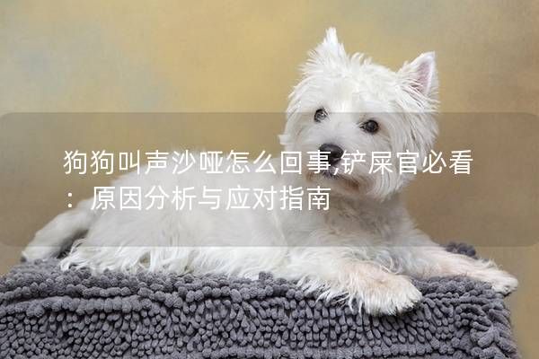 狗狗叫声沙哑怎么回事,铲屎官必看：原因分析与应对指南