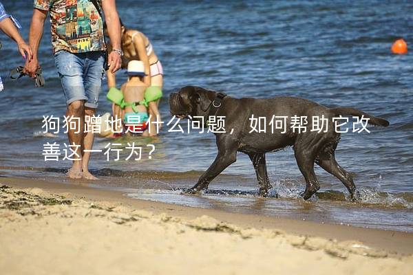 狗狗蹭地是什么问题，如何帮助它改善这一行为？