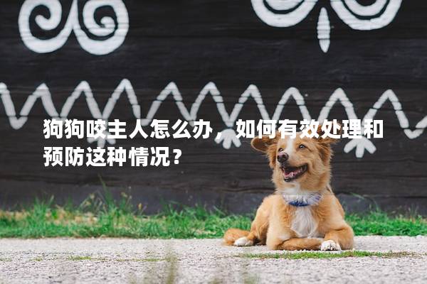 狗狗咬主人怎么办，如何有效处理和预防这种情况？