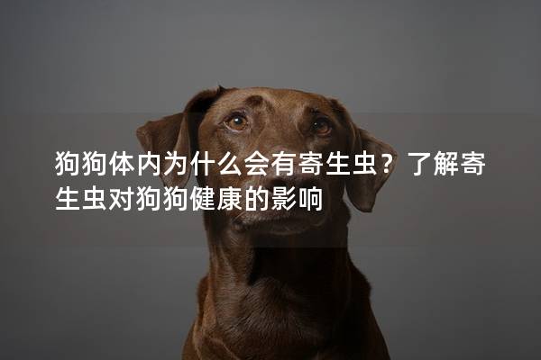 狗狗体内为什么会有寄生虫？了解寄生虫对狗狗健康的影响