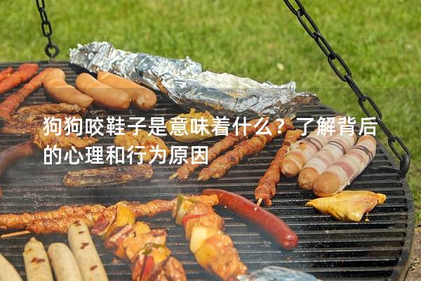狗狗咬鞋子是意味着什么？了解背后的心理和行为原因