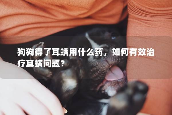 狗狗得了耳螨用什么药，如何有效治疗耳螨问题？
