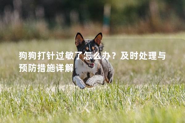 狗狗打针过敏了怎么办？及时处理与预防措施详解