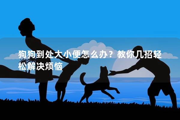 狗狗到处大小便怎么办？教你几招轻松解决烦恼