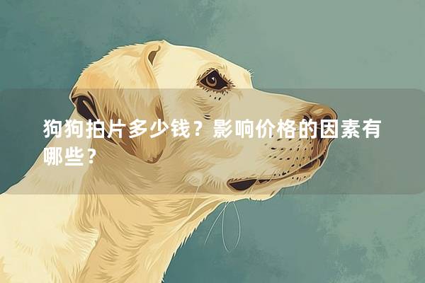 狗狗拍片多少钱？影响价格的因素有哪些？