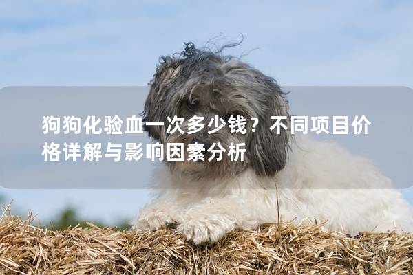 狗狗化验血一次多少钱？不同项目价格详解与影响因素分析