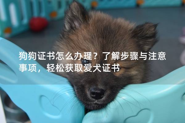 狗狗证书怎么办理？了解步骤与注意事项，轻松获取爱犬证书