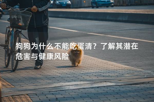 狗狗为什么不能吃蛋清？了解其潜在危害与健康风险