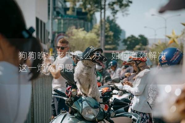 狗狗晚上老叫怎么办，如何有效解决这一烦恼问题？