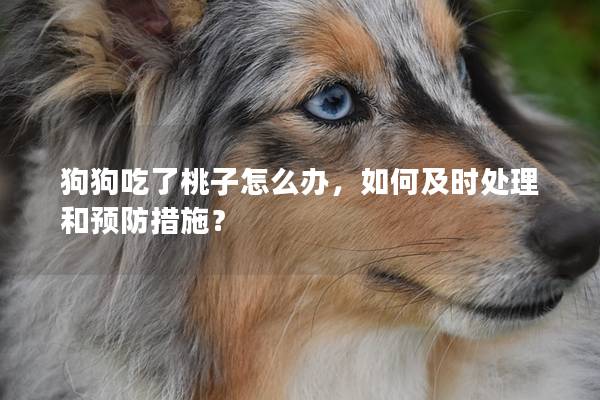 狗狗吃了桃子怎么办，如何及时处理和预防措施？