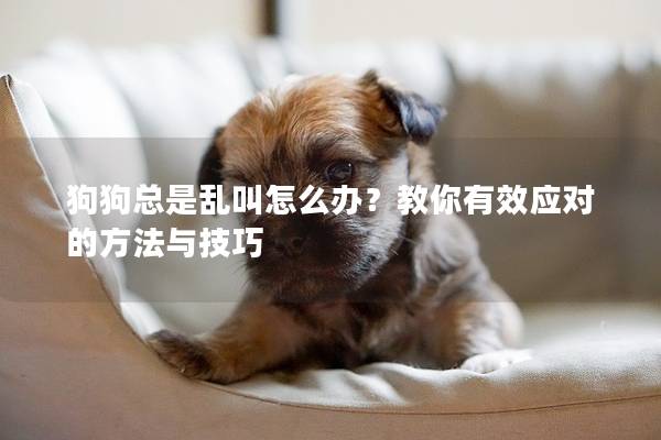 狗狗总是乱叫怎么办？教你有效应对的方法与技巧