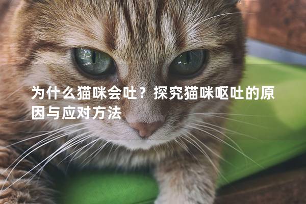 为什么猫咪会吐？探究猫咪呕吐的原因与应对方法