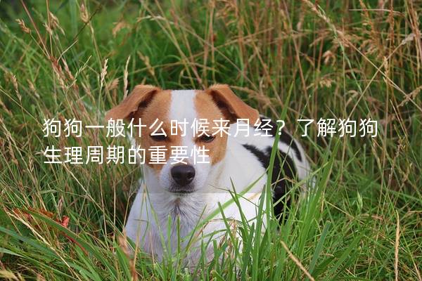 狗狗一般什么时候来月经？了解狗狗生理周期的重要性